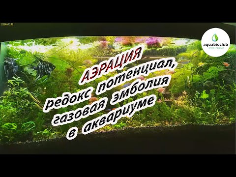 Видео: Аэрация, Редокс потенциал в аквариуме.