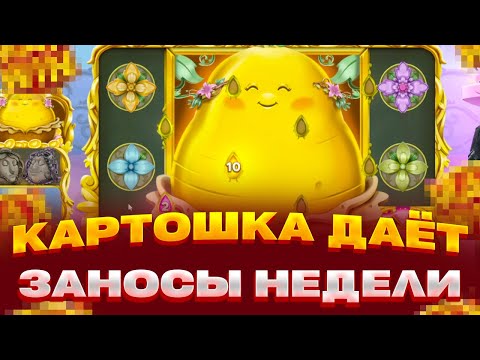 Видео: КАРТОШКА НА ВЕСЬ ЭКРАН! ЗАНОСЫ НЕДЕЛИ ПОЙМАЛ X700 В ROYAL POTATO 2