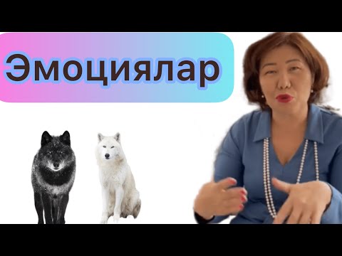 Видео: Эмоциялар бизди кантип башкарат?