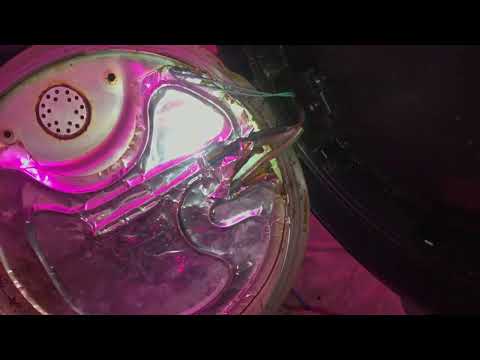 Видео: Мультиварка Panasonic | Не реагирует на кнопки | Постоянно мигает таймер и старт| Ремонт