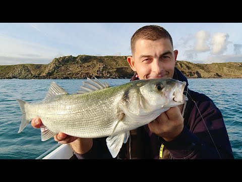 Видео: Морская рыбалка в Великобритании — исследование рифов зимой в поисках рыбы, пригодной для пропита...