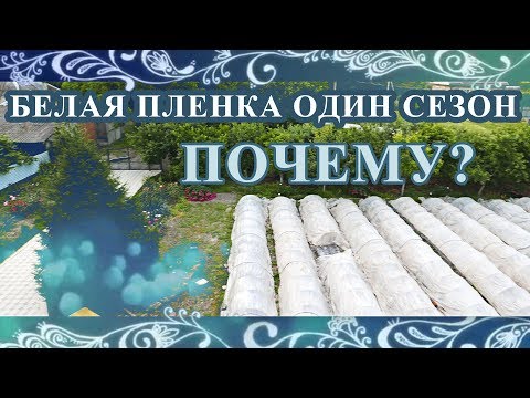 Видео: БЕЛАЯ ПЛЁНКА ОДИН СЕЗОН/ПОЧЕМУ?