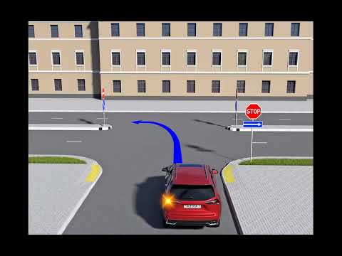 Видео: Информационно-указательные знаки./01.09.25/теория.