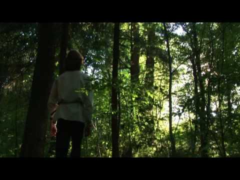 Видео: Ветер Воды - Ветер Воды / Water Wind - Water Wind