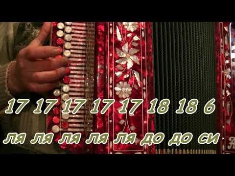 Видео: О,смереко, видеоразбор(с нотами и цифрами) на гармони.