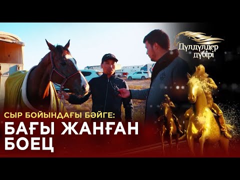 Видео: Сыр бойындағы бәйге: Бағы жанған Боец. «Дүлдүлдер дүбірі»