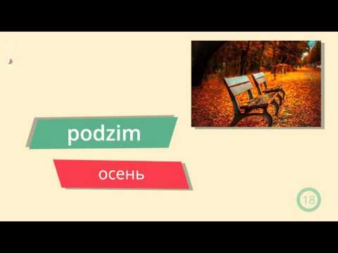 Видео: 6. Лекция Denní program – Распорядок дня. Чешский язык с GoStudy.