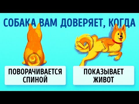 Видео: 16 Приемов Для Тех, Кто Всегда Мечтал Понимать Собак