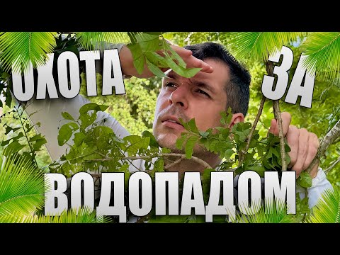 Видео: Охота за водопадом на Бохоле