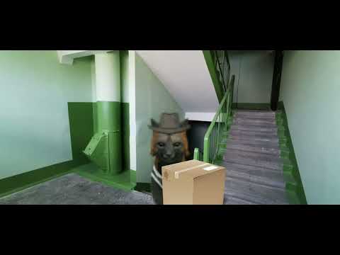 Видео: Страшилка WildCraft •°Посылка📦•°