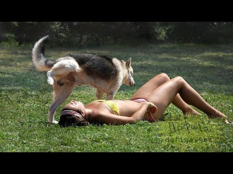 Видео: РЖАКА  ДО СЛЕЗ  😂 30 Минут смеха 2024 Смешные видео Лучшие Лютые ПРИКОЛЫ #64