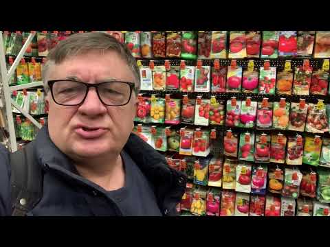 Видео: Какой же сорт томатов лучший?