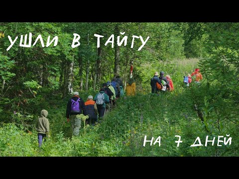 Видео: Ушли в тайгу на 7 дней и не пожалели: сплав в Пермском крае по реке Вишера, городские в лесу ✌🏻