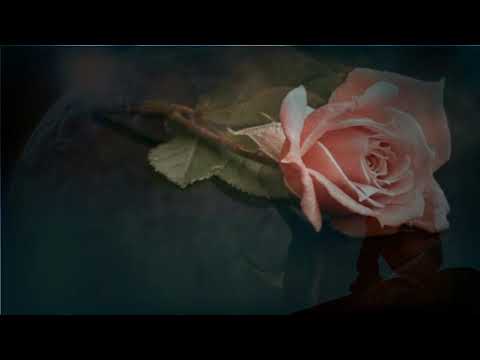 Видео: Группа ИДЕАЛЬНЫЕ ЛЮДИ-Я ЖЕНЩИНУ ЛЮБЛЮ,КОТОРОЙ Я НЕ НУЖЕН ( слайд)