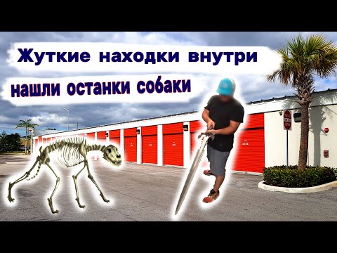 Видео: Жуткие находки в брошенном контейнере. Нашли останки собаки внутри. Холодное оружие.