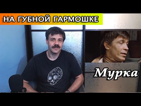 Видео: Мурка на губной гармошке