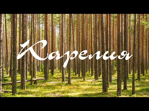 Видео: #1 Север: Дорога в Карелию (Сортавала) на машине.