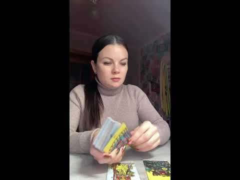 Видео: TARO VIVA в прямом эфире!