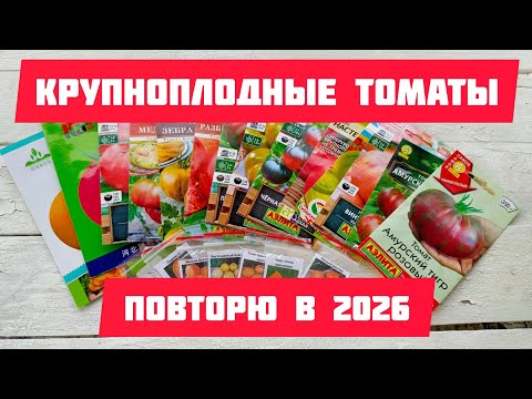 Видео: Повторю эти крупноплодные томаты в сезоне 2026