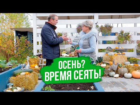 Видео: Не сажайте овощи и цветы, не посмотрев это видео! Подзимний посев.