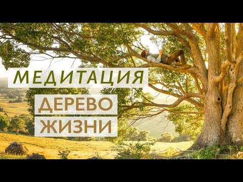 Видео: Медитация утренняя для улучшения самочувствия  | Дерево Жизни | Укрепление иммунитета и здоровья