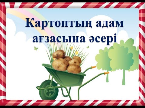 Видео: 🥔 КАРТОПТЫҢ АДАМ АҒЗАСЫНА ПАЙДАСЫ 🧠💪💛 |  @ҒылымиЖобалар