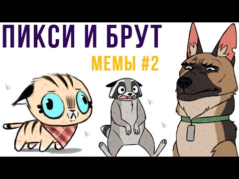 Видео: Пикси и Брут. Мемы #2 | Мемозг #371