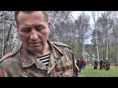 Видео: Алтайская выставка лаек и гончих 2016г.