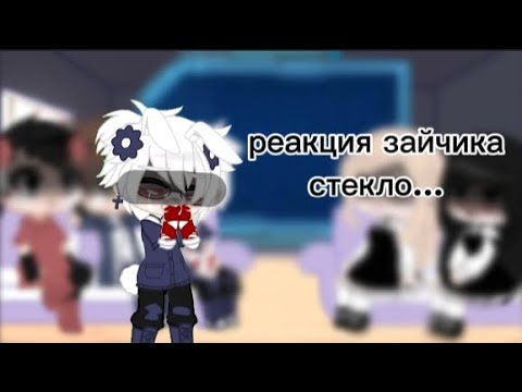 Видео: реакция зайчика на ТТ | Tiny Bunny🐇(стекло)