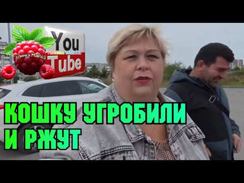 Видео: Ольга Уралочка /Кошку угробили и ржут /Обзор /Ольга Уралочка live 