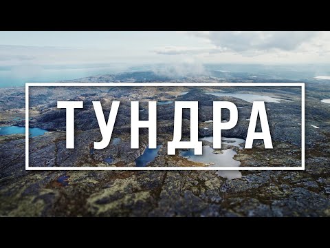 Видео: Тундра – РАЗБИВШИЙСЯ Самолет & ЗАБРОШЕННЫЕ Рудники & Выход к ОКЕАНУ | 4K