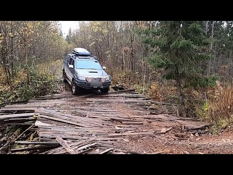 Видео: В поисках медведя часть 2.