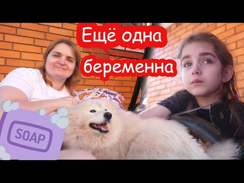 Видео: VLOG 24 часа во дворе. Беременные будни