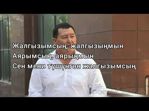 Видео: Сыймык Бейшекеев "Жалгызымсың". Караоке