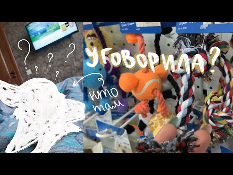 Видео: ИСПОЛНИЛА МЕЧТУ | ШОК | кто у нас?