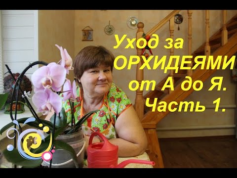 Видео: Уход за ОРХИДЕЯМИ от А до Я. Часть I. | PHALAENOPSIS ORCHID CARE.