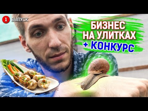 Видео: Бизнес на улитках. Улиточная ферма. 2500 кг. улиток. Как начать бизнес с нескольких улиток.