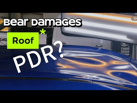 Видео: Ремонт вмятин без покраски спас крышу, поврежденную медведем!