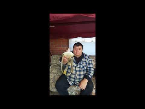 Видео: №18.Просьба о помощи.