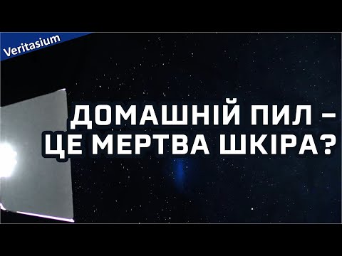 Видео: Домашній пил – це переважно мертва шкіра? [Veritasium]