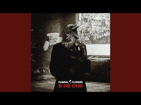 Видео: Я Не Они