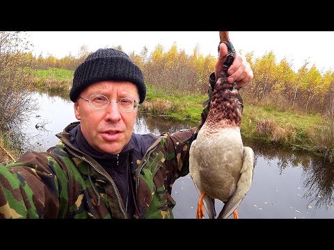 Видео: Ходовая охота на утку осенью в одиночку.