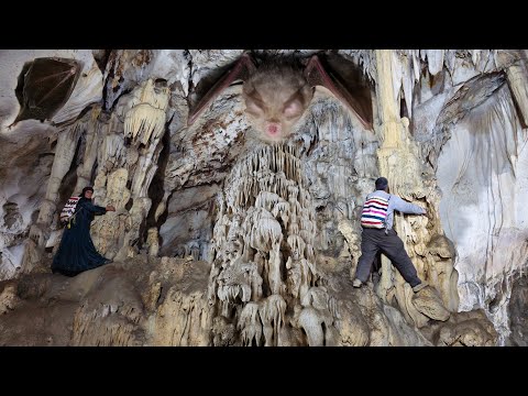 Видео: Кочевая жизнь | Удивительное путешествие в крупнейшую историческую пещеру Ирана🏔🏞