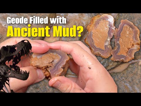 Видео: Сюрприз-жеода, наполненная древней грязью?