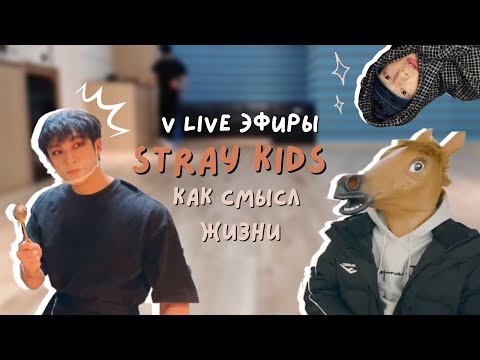 Видео: v live эфиры stray kids как смысл жизни