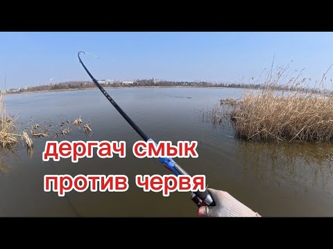 Видео: На червя огромные пеленгасы. #рыбалка #fishing #낚시