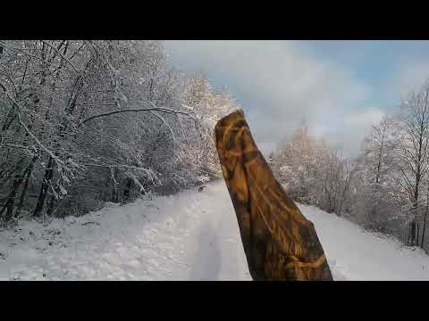 Видео: 17 ноября 2025 г.