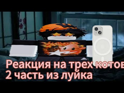 Видео: Реакция на трёх котов 2 часть только из луйка