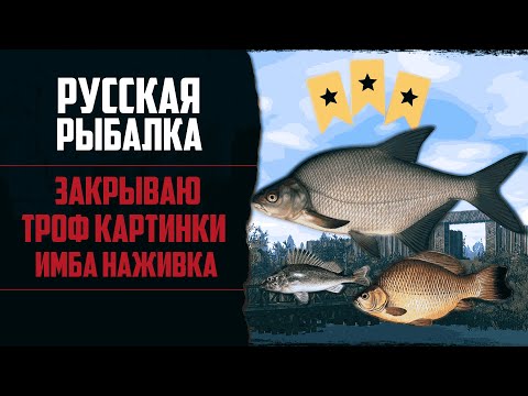 Видео: Новый Путь в РР4 #3 🔴 Поймал Много Трофеев | Проверил Леща На Комаре | Прокачал Снасти и Наживку