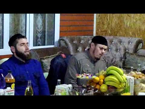 Видео: Мовлид Хамзат
